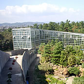 氷見市海浜植物園　展示棟の眺め